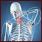 Spondylolysis
