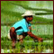 Farmer
